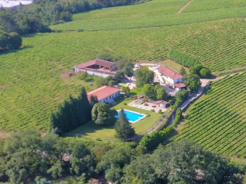 Vista aérea das casas e da piscina, rodeadas de vinha
