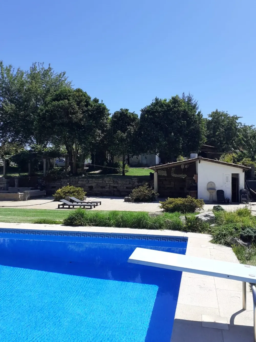 Piscina com prancha de saltos, árvores e um anexo branco no jardim