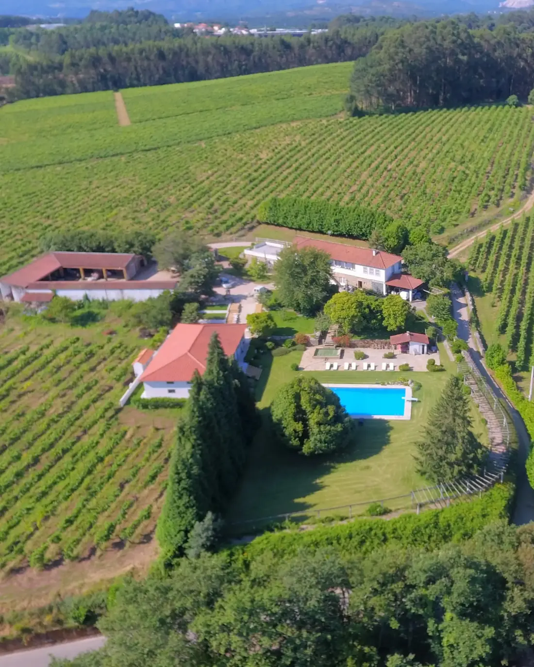 Vista aérea das casas e da piscina no meio das vinhas